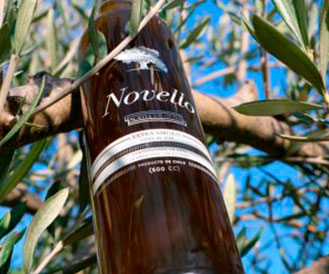 Terramater presenta Novello, primer aceite de oliva 2017 del mundo