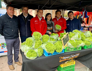 En Plaza de los Hroes de Rancagua inauguran primer Mercado Campesino de la Regin de OHiggins
